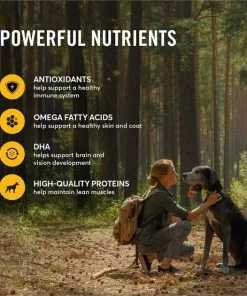 American Journey Chicken & Sweet Potato Recipe Grain-Free Dry Dog Food -American Journey Store 108409 PT4. SY630 V1606261037