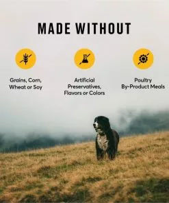 American Journey Chicken & Sweet Potato Recipe Grain-Free Dry Dog Food -American Journey Store 108409 PT6. SY630 V1606264042