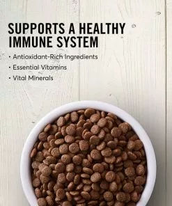 American Journey Large Breed Adult Chicken & Sweet Potato Recipe Grain-Free Dry Dog Food -American Journey Store 108413 PT3. SY630 V1607145725