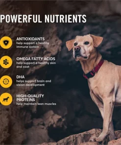 American Journey Large Breed Adult Chicken & Sweet Potato Recipe Grain-Free Dry Dog Food -American Journey Store 108413 PT4. SY630 V1607134931