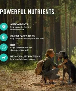 American Journey Lamb & Sweet Potato Recipe Grain-Free Dry Dog Food -American Journey Store 108417 PT4. SY630 V1606258024