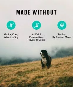 American Journey Lamb & Sweet Potato Recipe Grain-Free Dry Dog Food -American Journey Store 108417 PT6. SY630 V1606262209