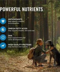 American Journey Salmon & Sweet Potato Recipe Grain-Free Dry Dog Food -American Journey Store 108421 PT4. SY630 V1606257414