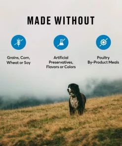 American Journey Salmon & Sweet Potato Recipe Grain-Free Dry Dog Food -American Journey Store 108421 PT6. SY630 V1606258912