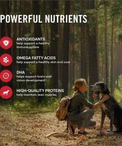 American Journey Beef & Sweet Potato Recipe Grain-Free Dry Dog Food -American Journey Store 108426 PT4. SY630 V1606265538