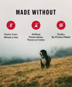 American Journey Beef & Sweet Potato Recipe Grain-Free Dry Dog Food -American Journey Store 108426 PT6. SY630 V1606267621