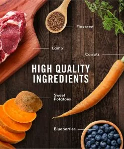 American Journey Puppy Lamb & Sweet Potato Recipe Grain-Free Dry Dog Food -American Journey Store 108434 PT5. SY630 V1607158931