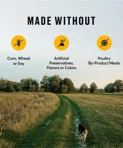 American Journey Active Life Formula Chicken, Brown Rice & Vegetables Recipe Dry Dog Food -American Journey Store 109337 PT7. SY630 V1591794391