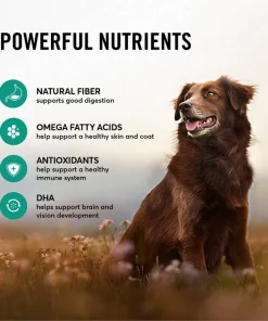 American Journey Active Life Formula Lamb, Brown Rice & Vegetables Recipe Dry Dog Food 14 American Journey Active Life Formula Lamb, Brown Rice & Vegetables Recipe Dry Dog Food -American Journey Store 109342 PT5. SY630 V1591794664