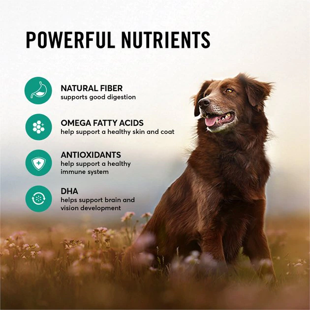 American Journey Active Life Formula Lamb, Brown Rice & Vegetables Recipe Dry Dog Food 7 American Journey Active Life Formula Lamb, Brown Rice & Vegetables Recipe Dry Dog Food - Image 5