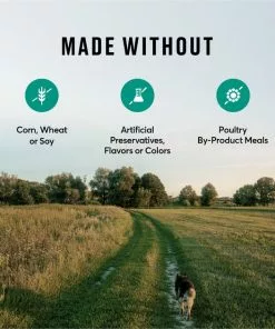 American Journey Active Life Formula Lamb, Brown Rice & Vegetables Recipe Dry Dog Food 16 American Journey Active Life Formula Lamb, Brown Rice & Vegetables Recipe Dry Dog Food -American Journey Store 109342 PT7. SY630 V1591794684