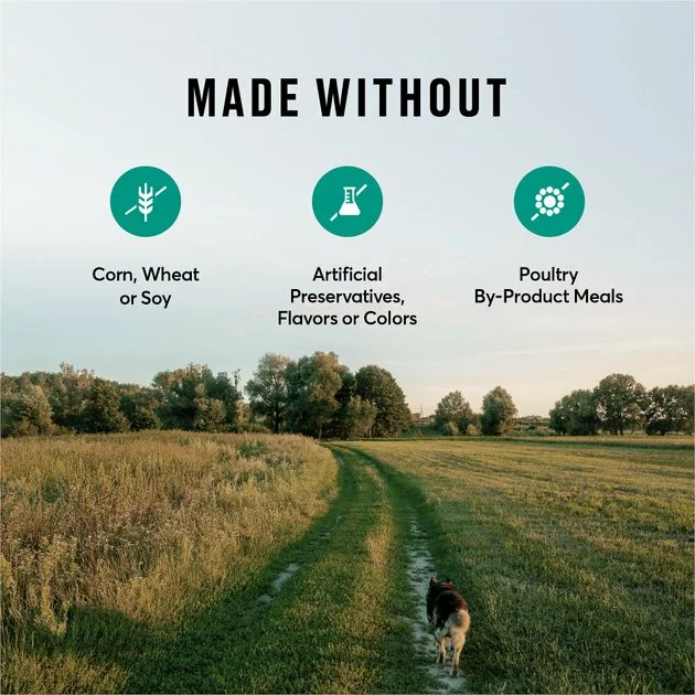 American Journey Active Life Formula Lamb, Brown Rice & Vegetables Recipe Dry Dog Food 9 American Journey Active Life Formula Lamb, Brown Rice & Vegetables Recipe Dry Dog Food - Image 7