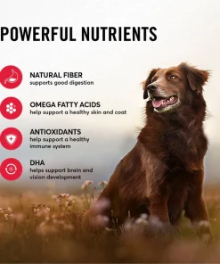 American Journey Active Life Formula Beef, Brown Rice & Vegetables Recipe Dry Dog Food -American Journey Store 109349 PT5. SY630 V1593626785