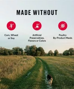 American Journey Active Life Formula Beef, Brown Rice & Vegetables Recipe Dry Dog Food -American Journey Store 109349 PT7. SY630 V1593626787