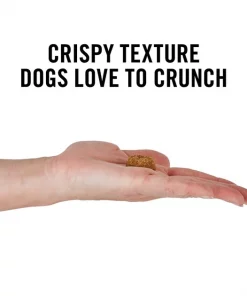 American Journey Chicken Recipe Grain-Free Oven Baked Crunchy Biscuit Dog Treats -American Journey Store 114127 PT3. SY630 V1632188602