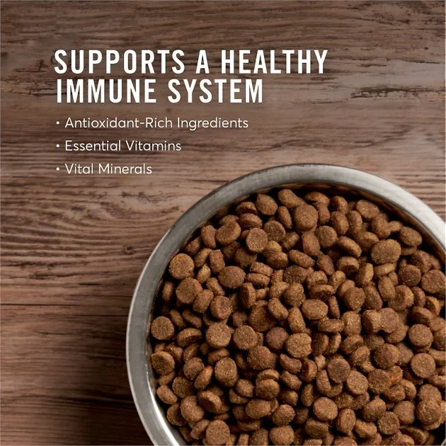 American Journey Active Life Formula Large Breed Salmon, Brown Rice & Vegetables Recipe Dry Dog Food 6 American Journey Active Life Formula Large Breed Salmon, Brown Rice & Vegetables Recipe Dry Dog Food - Image 4