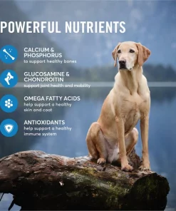 American Journey Active Life Formula Large Breed Salmon, Brown Rice & Vegetables Recipe Dry Dog Food 14 American Journey Active Life Formula Large Breed Salmon, Brown Rice & Vegetables Recipe Dry Dog Food -American Journey Store 121223 PT5. SY630 V1593626760