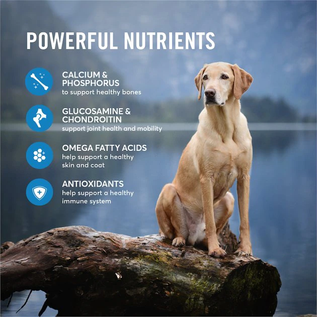 American Journey Active Life Formula Large Breed Salmon, Brown Rice & Vegetables Recipe Dry Dog Food 7 American Journey Active Life Formula Large Breed Salmon, Brown Rice & Vegetables Recipe Dry Dog Food - Image 5