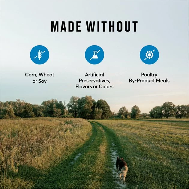 American Journey Active Life Formula Large Breed Salmon, Brown Rice & Vegetables Recipe Dry Dog Food 9 American Journey Active Life Formula Large Breed Salmon, Brown Rice & Vegetables Recipe Dry Dog Food - Image 7