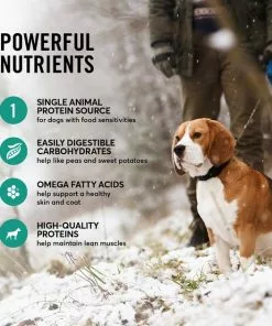 American Journey Limited Ingredient Lamb & Sweet Potato Recipe Grain-Free Dry Dog Food -American Journey Store 121255 PT4. SY630 V1607394801