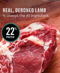 American Journey Limited Ingredient Lamb & Sweet Potato Recipe Grain-Free Dry Dog Food -American Journey Store 121255 PT7. SY630 V1607383068