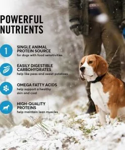 American Journey Limited Ingredient Salmon & Sweet Potato Recipe Grain-Free Dry Dog Food -American Journey Store 121275 PT4. SY630 V1607391773