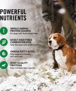 American Journey Limited Ingredient Duck & Sweet Potato Recipe Grain-Free Dry Dog Food -American Journey Store 121305 PT4. SY630 V1607389382