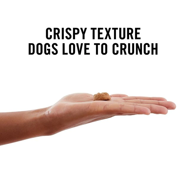 American Journey Peanut Butter Recipe Grain-Free Oven Baked Crunchy Biscuit Dog Treats 6 American Journey Peanut Butter Recipe Grain-Free Oven Baked Crunchy Biscuit Dog Treats - Image 4