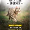 American Journey Chicken Recipe Grain-Free Dry Cat Food -American Journey Store 131577 MAIN. SY630 V1514493211