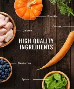 American Journey Chicken Recipe Grain-Free Dry Cat Food -American Journey Store 131577 PT5. SY630 V1607383044