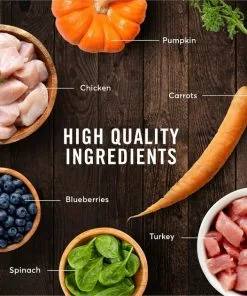 American Journey Turkey & Chicken Recipe Grain-Free Dry Cat Food -American Journey Store 131581 PT5. SY630 V1607382144