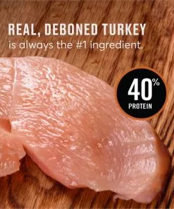 American Journey Turkey & Chicken Recipe Grain-Free Dry Cat Food -American Journey Store 131581 PT7. SY630 V1607398654