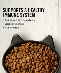 American Journey Duck Recipe Grain-Free Dry Cat Food -American Journey Store 131583 PT3. SY630 V1607395682