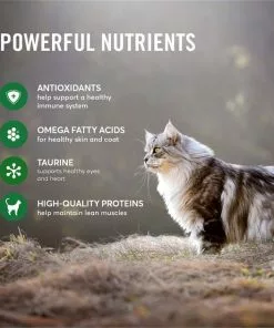 American Journey Duck Recipe Grain-Free Dry Cat Food -American Journey Store 131583 PT4. SY630 V1607392049