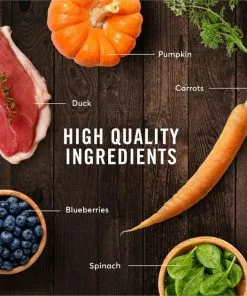 American Journey Duck Recipe Grain-Free Dry Cat Food -American Journey Store 131583 PT5. SY630 V1607385427