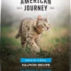 American Journey Salmon Recipe Grain-Free Dry Cat Food -American Journey Store 131587 MAIN. SY630 V1514493217