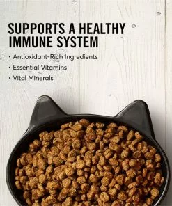 American Journey Salmon Recipe Grain-Free Dry Cat Food -American Journey Store 131587 PT3. SY630 V1607383629