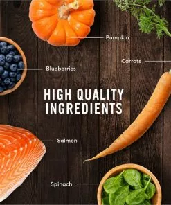 American Journey Salmon Recipe Grain-Free Dry Cat Food -American Journey Store 131587 PT5. SY630 V1607398658