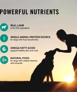 American Journey Limited Ingredient Diet Lamb & Sweet Potato Recipe Grain-Free Canned Dog Food -American Journey Store 133875 PT4. SY630 V1623100347