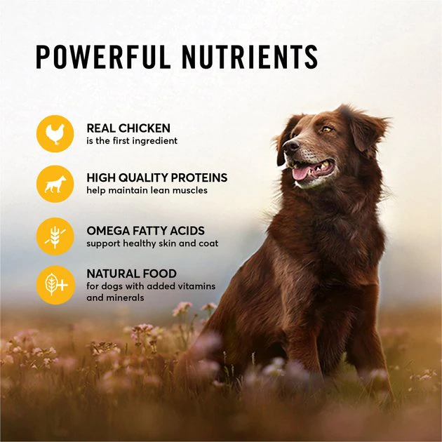 American Journey Stews Chicken & Vegetables Recipe in Gravy Grain-Free Canned Dog Food 7 American Journey Stews Chicken & Vegetables Recipe in Gravy Grain-Free Canned Dog Food - Image 5