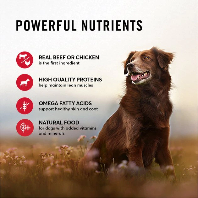 American Journey Poultry & Beef Variety Pack Grain-Free Canned Dog Food 8 American Journey Poultry & Beef Variety Pack Grain-Free Canned Dog Food - Image 6
