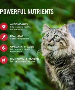 American Journey Pate Beef & Chicken Recipe Grain-Free Canned Cat Food 15 American Journey Pate Beef & Chicken Recipe Grain-Free Canned Cat Food -American Journey Store 133890 PT4. SY630 V1610772310