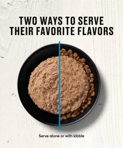 American Journey Pate Salmon Recipe Grain-Free Canned Cat Food -American Journey Store 133901 PT5. SY630 V1626383481