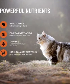 American Journey Pate Turkey Recipe Grain-Free Canned Cat Food 13 American Journey Pate Turkey Recipe Grain-Free Canned Cat Food -American Journey Store 133905 PT3. SY630 V1626382881