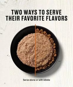 American Journey Pate Turkey Recipe Grain-Free Canned Cat Food 15 American Journey Pate Turkey Recipe Grain-Free Canned Cat Food -American Journey Store 133905 PT5. SY630 V1626383490