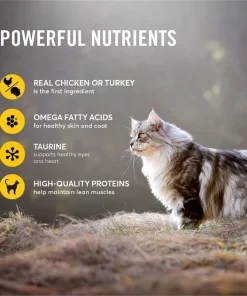 American Journey Paté Poultry & Seafood Variety Pack Grain-Free Canned Cat Food -American Journey Store 133924 PT4. SY630 V1627654963