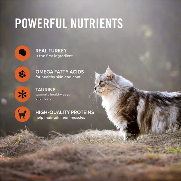 American Journey Minced Turkey Recipe in Gravy Grain-Free Canned Cat Food 7 American Journey Minced Turkey Recipe in Gravy Grain-Free Canned Cat Food - Image 5