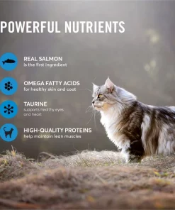 American Journey Minced Salmon & Tuna Recipe in Gravy Grain-Free Canned Cat Food -American Journey Store 133935 PT3. SY630 V1626382877