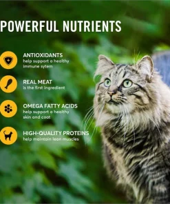 American Journey Minced Poultry & Seafood in Gravy Variety Pack Grain-Free Canned Cat Food -American Journey Store 133939 PT5. SY630 V1610766428