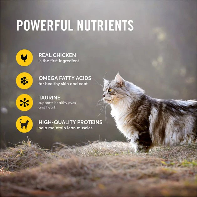 American Journey Minced Chicken Recipe in Gravy Grain-Free Canned Cat Food 6 American Journey Minced Chicken Recipe in Gravy Grain-Free Canned Cat Food - Image 4